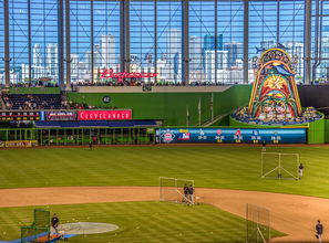 开云app官网网址-国足核心战术执行人员稳定性研究，中国足球队战术